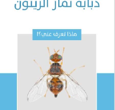 تحميل كتاب ذبابة ثمار الزيتون ل مأمون عبد اللطيف الرحال PDF